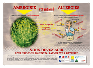 Fiche d`information générale "Ambroisie : attention allergies !"