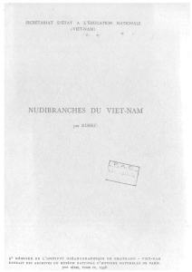 Nudibrnches du Viet-Nam