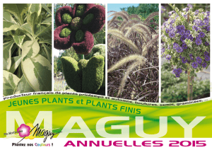 catalogue maguy 2015