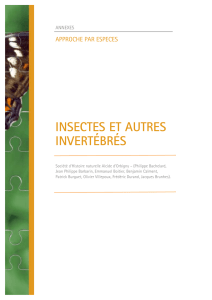 insectes et autres invertébrés - DREAL Auvergne-Rhône