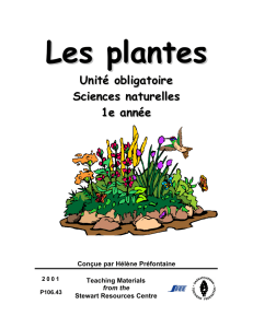 Les plantes: unite obligatoire Sciences naturelles : 1e annee