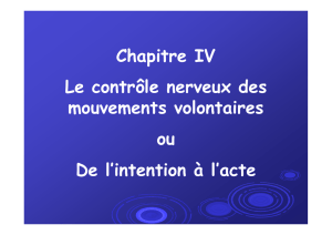 Mouvement volontaire