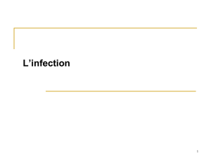 L`infection