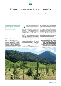 Financer la restauration des forêts tropicales