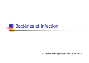 Bactéries et infection