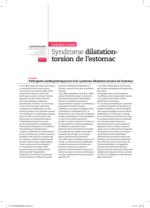 Syndrome dilatation- torsion de l`estomac