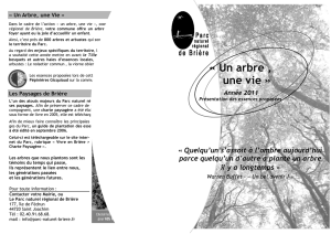 Un arbre , une vie - Communauté de Communes Loire et Sillon