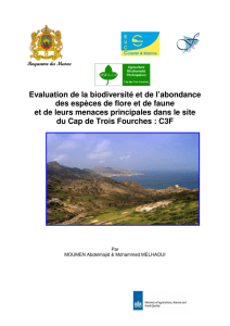 Evaluation de la biodiversité et de l`abondance des espèces de flore