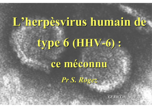 HHV-6 - Infectiologie