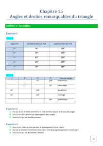 Chapitre 15 Angles et droites remarquables du triangle