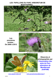 Brochure papillons du parc en ligne