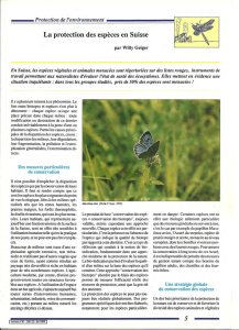 La protection des espèces en Suisse / Insectes n° 81