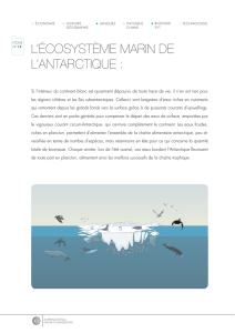 L`écosystème marin de L`antarctique