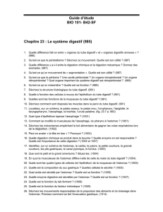 Guide d`étude BIO 101- B42-SF Chapitre 23 : Le système digestif (985)