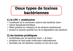 Deux types de toxines Deux types de toxines bactériennes