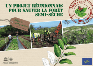 Un projet réunionnais pour sauver la forêt semi-sèche