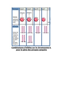 Combinaisons d`allèles sur le chromosome 9