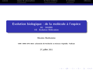 Introduction (Maxime Bonhomme)