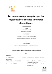 Les dermatoses provoquées par les mycobactéries chez