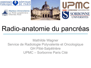 Radio-anatomie du pancréas