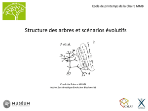 Structure des arbres et scénarios évolutifs.