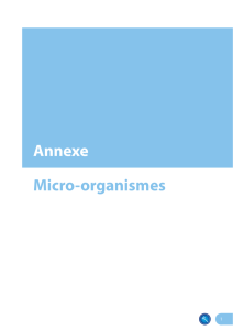 Annexe Micro