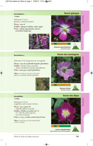 Voir un autre extrait - Naturalia Publications