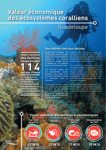 Valeur économique des écosystèmes coralliens