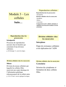 Module 3 Cellules Partie B