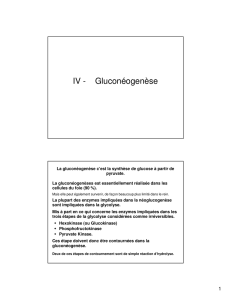 (Microsoft PowerPoint - Metabolisme \351nerg\351tique du Glucose