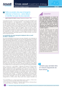 L`essentiel Dette souveraine des pays &eacute;mergents