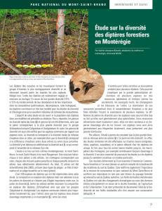 Étude sur la diversité des diptères forestiers en Montérégie