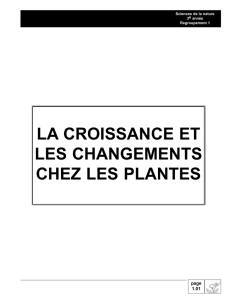 La croissance et les changements chez les plantes