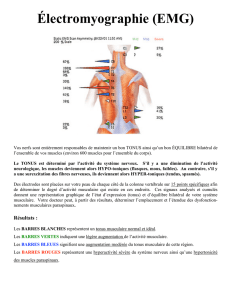 Voir le PDF - La Vie Chiropratique