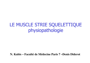 LE MUSCLE STRIE SQUELETTIQUE physiopathologie