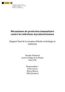 Mécanismes de protection immunitaire contre les infections