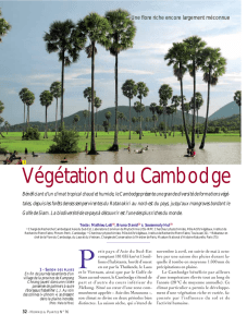 Végétation du Cambodge