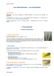 16-Helminthiases intestinales