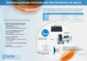 identification bactérienne par spectrométrie de masse