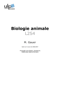 Biologie animale L2S4