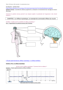 THEME : La part du génotype et la part de l`expérience individuelle