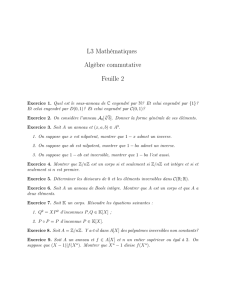 L3 Mathématiques Algèbre commutative Feuille 2