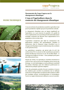 L`eau et l`agriculture dans le contexte du - Copa