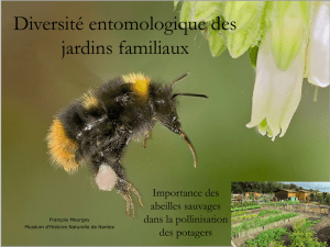 Diversité entomologiques des jardins familiaux