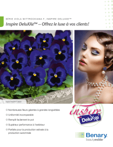 Inspire DeluXXe™ – Offrez le luxe à vos clients!