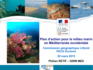 Plan d`action pour le milieu marin en Méditerranée occidentale