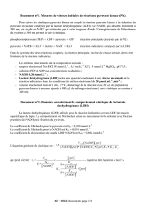 Document n°1. Mesures de vitesses initiales de réactions pyruvate