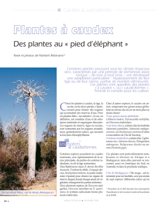 Pour lire la suite, TELECHARGEZ L`ARTICLE EN PDF