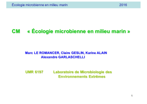 CM1 M1SBM 2016 Ecologie bacterienne en milieu marin