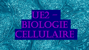 UE2 – Biologie Cellulaire - Tutorat Associatif Marseillais